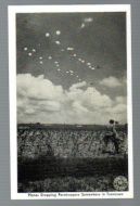 PLANES DROPPING U.S. PARATROOPERS WW2 POSTCARD
